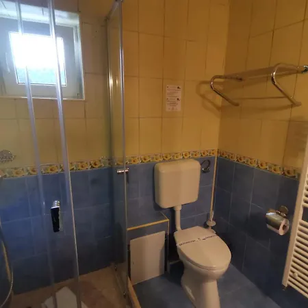 Pensiunea Dapa Guest house