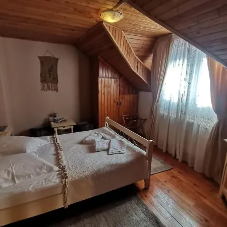 Pensiunea Dapa Guest house 4*