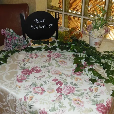 Pensiunea Dapa 4*